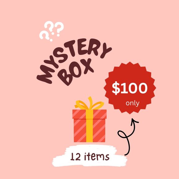 $100 Style Mystery Box 12 Items Women's Fashion Reseller Lot Surprise - Picture 1 of 1